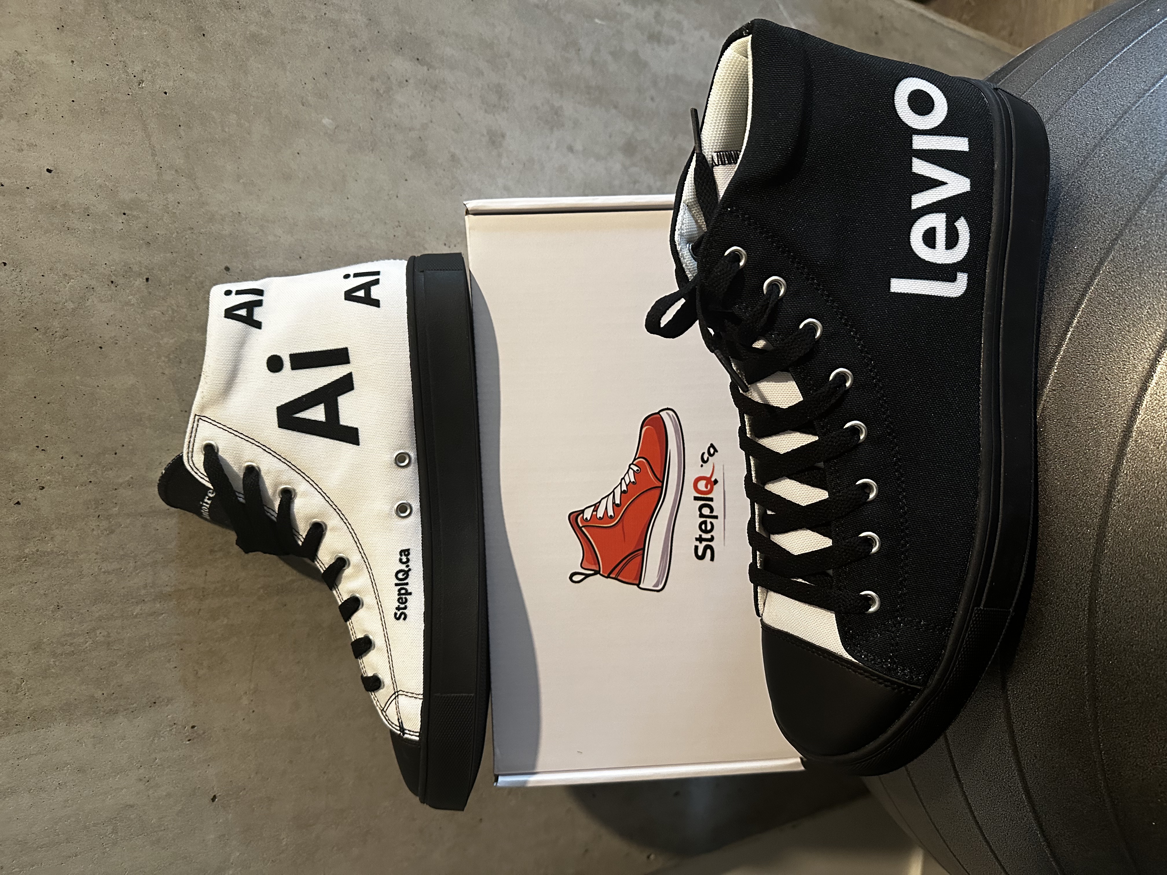 Levio Basket - Nouvelle vue